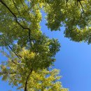 여의도성모약국 이미지