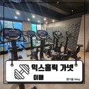 익스홀릭 가넷 | 이매동PT 추천! 하체·팔뚝 집중 케어 ‘익스홀릭 가넷 이매점’ 1:1 PT 체험 후기 : 익스홀릭 가넷 이매점