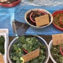 춘천풍물시장 이미지