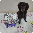 꼬물이공방 이미지