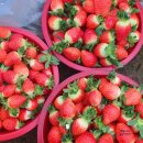 아우농장 이미지