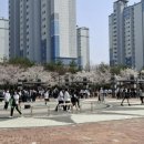 향일고등학교 이미지