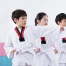 한국체대 MTA 태권도 이미지