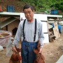 다은이네 민박 이미지