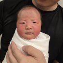 토우의원 | 25년 11월 : 누가 출근보다 육아가 낫다고 했냐?