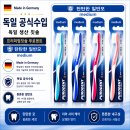 독일 푸로덴트 칫솔 12개입 일반모 가성비 대용량 프리미엄칫솔 이미지