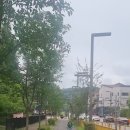 외손자 자전거 타는 모습 이미지