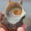 김녕어촌체험휴양마을 이미지