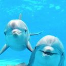 홍산빌딩 이미지