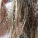 비쥬헤어 이미지