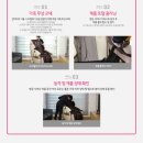 화이트 토탈 크리닝 이미지