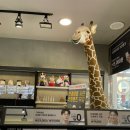 렌즈미 순천 연향점 이미지