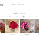 리다플라워스튜디오