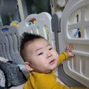 무등환경중기 | [양꼬미의 육아기록] D+240~243, 우진이의 폭풍성장모음(기기,무릎꿇고앉기,옹알이등등) & 성실이네서...