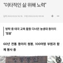 전대신문, 청봉 소식 발행. 이미지