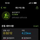 신시대 양꼬치 이미지