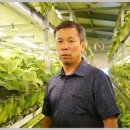 스마트팜의 미래 이미지