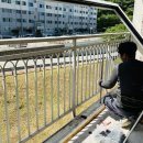 덕산3차베스트타운 네이버블로그