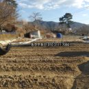 합성동270 이미지