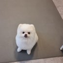 꽃개미용실 이미지