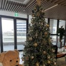 엠호텔 | 내돈내산 연말 호캉스 / 시흥 거북섬 / 서울 근교 호텔 / 웨이브엠호텔 이스트 숙박 후기