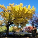 진주성보수정화비 이미지