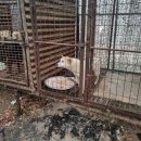 한씨농장 이미지