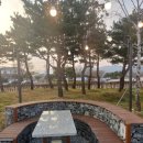 탄금호 피크닉 공원 이미지