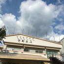 연희도그 이미지