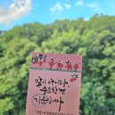 진접드리미센터