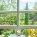 데이드림빌리버 이미지