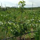 별샘농장 이미지