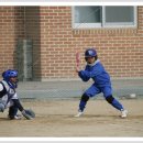 공주중동초등학교 이미지