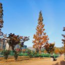 강청수변공원축구장 이미지