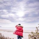 솔내음야영장 이미지