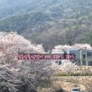 THE대박공인중개사사무소 이미지