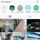 블루밍독 이미지