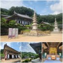 우정경로식당 | KTX 1박 2일 먹탐여행 예천 안동 시티투어 코스 엄지척 후기