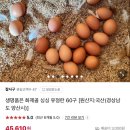 화제골 싱싱 유정란 | 유정란 계란으로 잘사구를 추천하는 이유/유황 사육장번호 배송 영양성분 껍데기 숫자 뜻