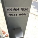[내돈내산] 애견동반 가능, 경주 풀앤문 한옥스테이 풀빌라 후기