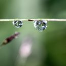 유명산캠핑장 이미지