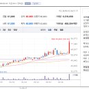 비전옵틱스 이미지