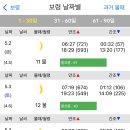 꽃지아라 이미지