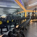 라인업 짐 휘트니스 이미지