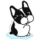 리츠펫 선물 이미지