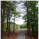 인성군묘 이미지