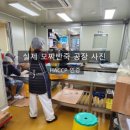 말랑한 모찌모찌