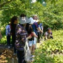 곰밭농장 이미지