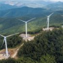 꿀벌태양광발전소 이미지