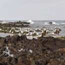 마라민박 이미지